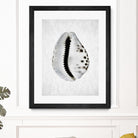 Spring Tide by Shot by Clint on GIANT ART - macro seashell art