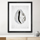 Spring Tide by Shot by Clint on GIANT ART - macro seashell art