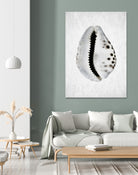 Spring Tide by Shot by Clint on GIANT ART - macro seashell art