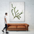 This Minimalist Artwork by Shot by Clint on GIANT ART - landscape botanical art