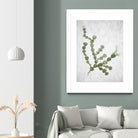 This Minimalist Artwork by Shot by Clint on GIANT ART - landscape botanical art