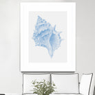 One Blue Conch by Jolly on GIANT ART - illustration animal