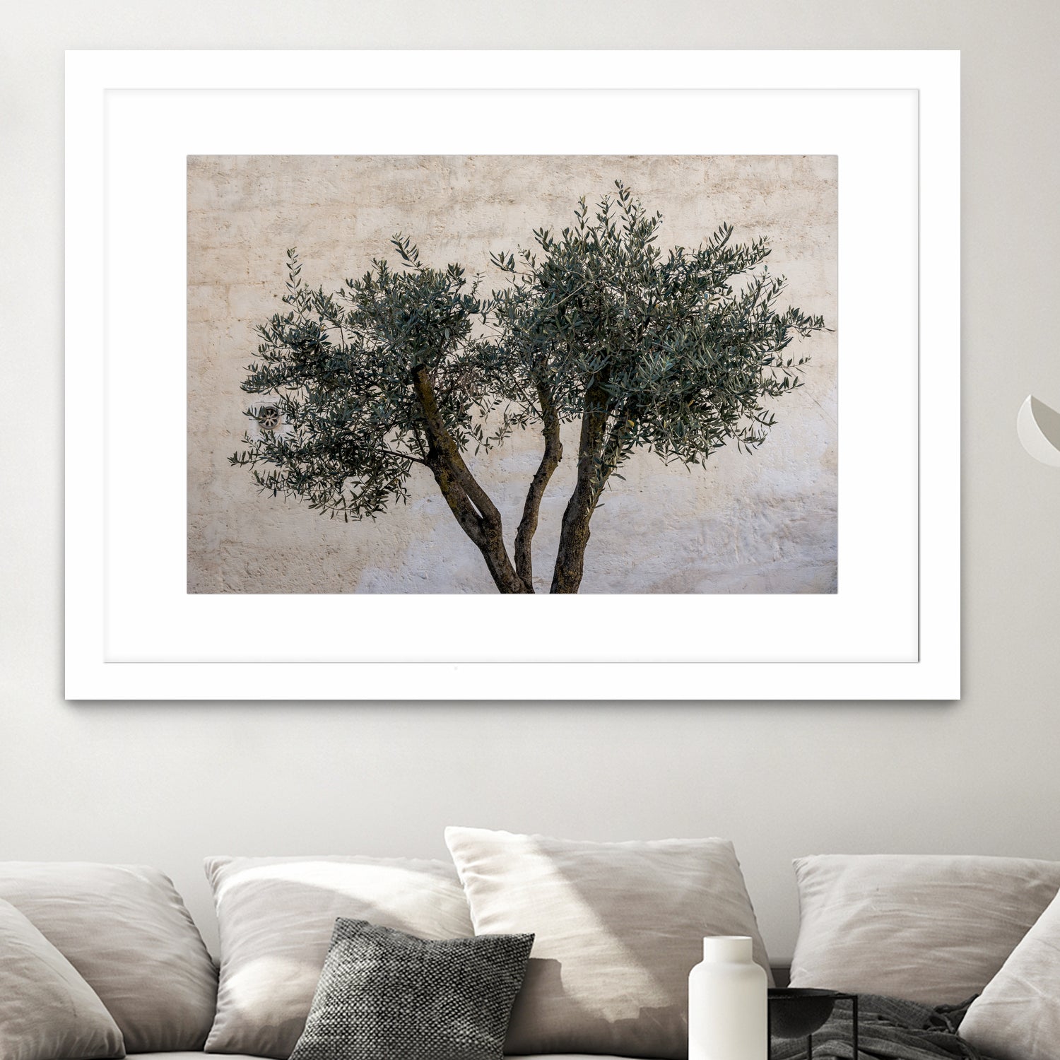 Olive Trees by Photolovers on GIANT ART - landscape plant