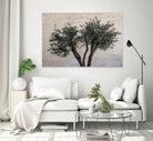 Olive Trees by Photolovers on GIANT ART - landscape plant