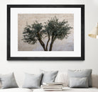 Olive Trees by Photolovers on GIANT ART - landscape plant