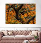 Golden Ratio by Junhao Wang on GIANT ART - orange botanical orange