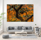 Golden Ratio by Junhao Wang on GIANT ART - orange botanical orange