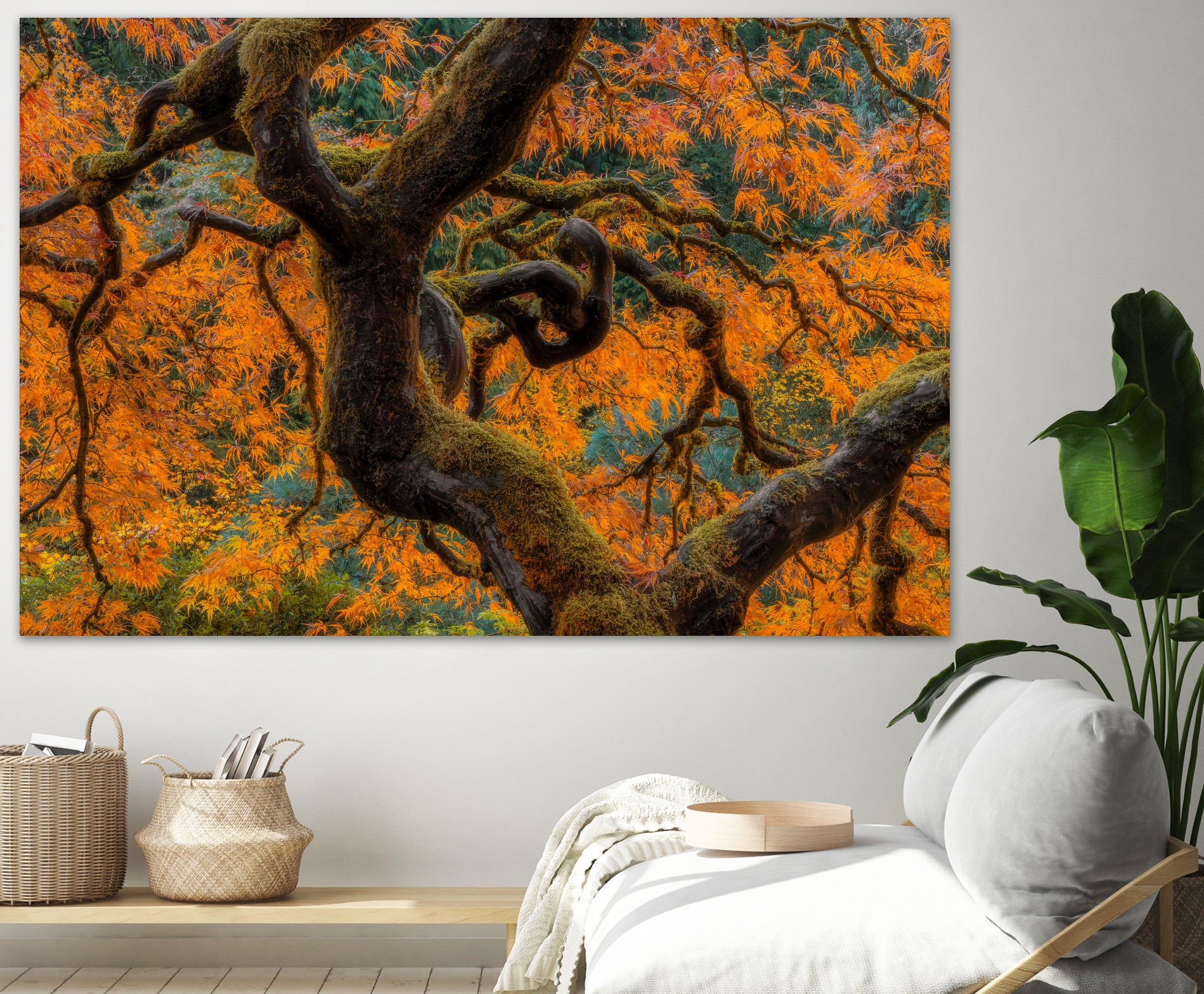 Golden Ratio by Junhao Wang on GIANT ART - orange botanical orange