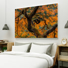 Golden Ratio by Junhao Wang on GIANT ART - orange botanical orange