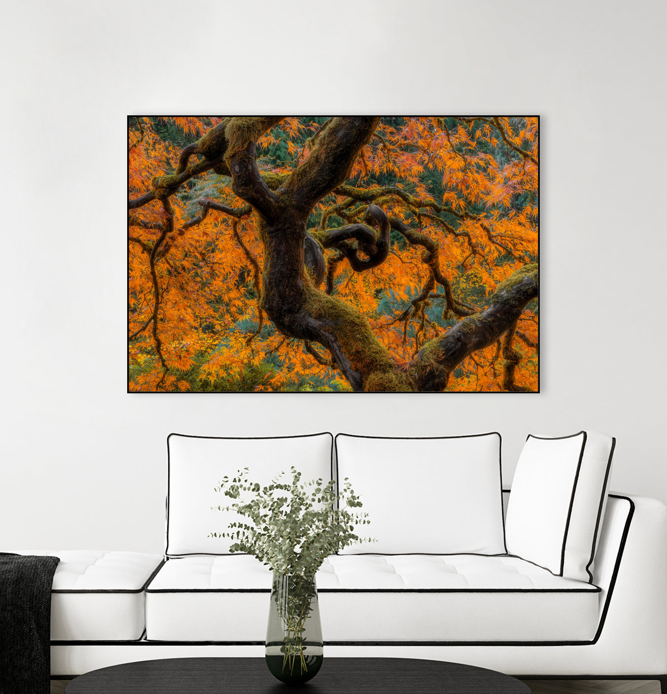 Golden Ratio by Junhao Wang on GIANT ART - orange botanical orange