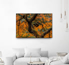 Golden Ratio by Junhao Wang on GIANT ART - orange botanical orange