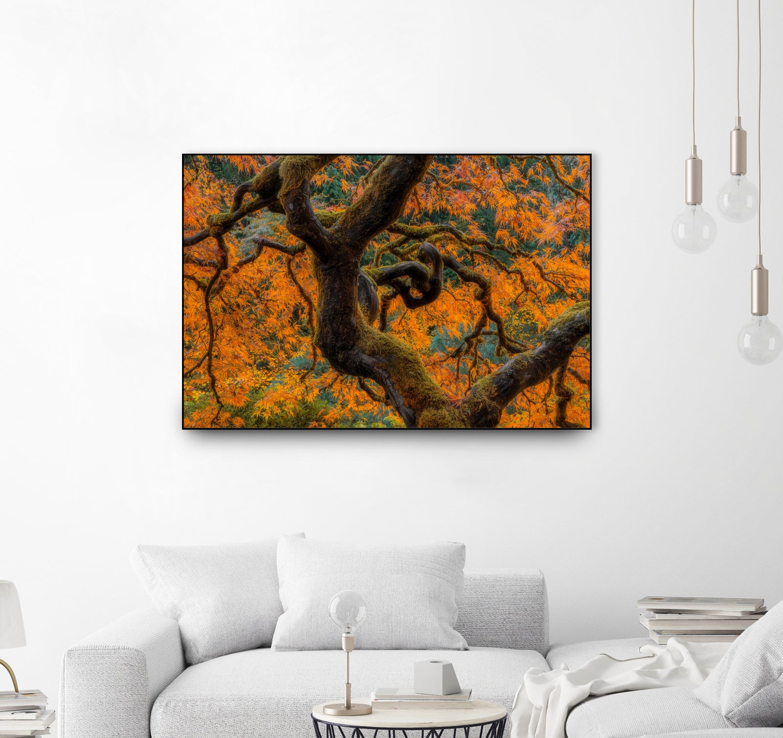 Golden Ratio by Junhao Wang on GIANT ART - orange botanical orange