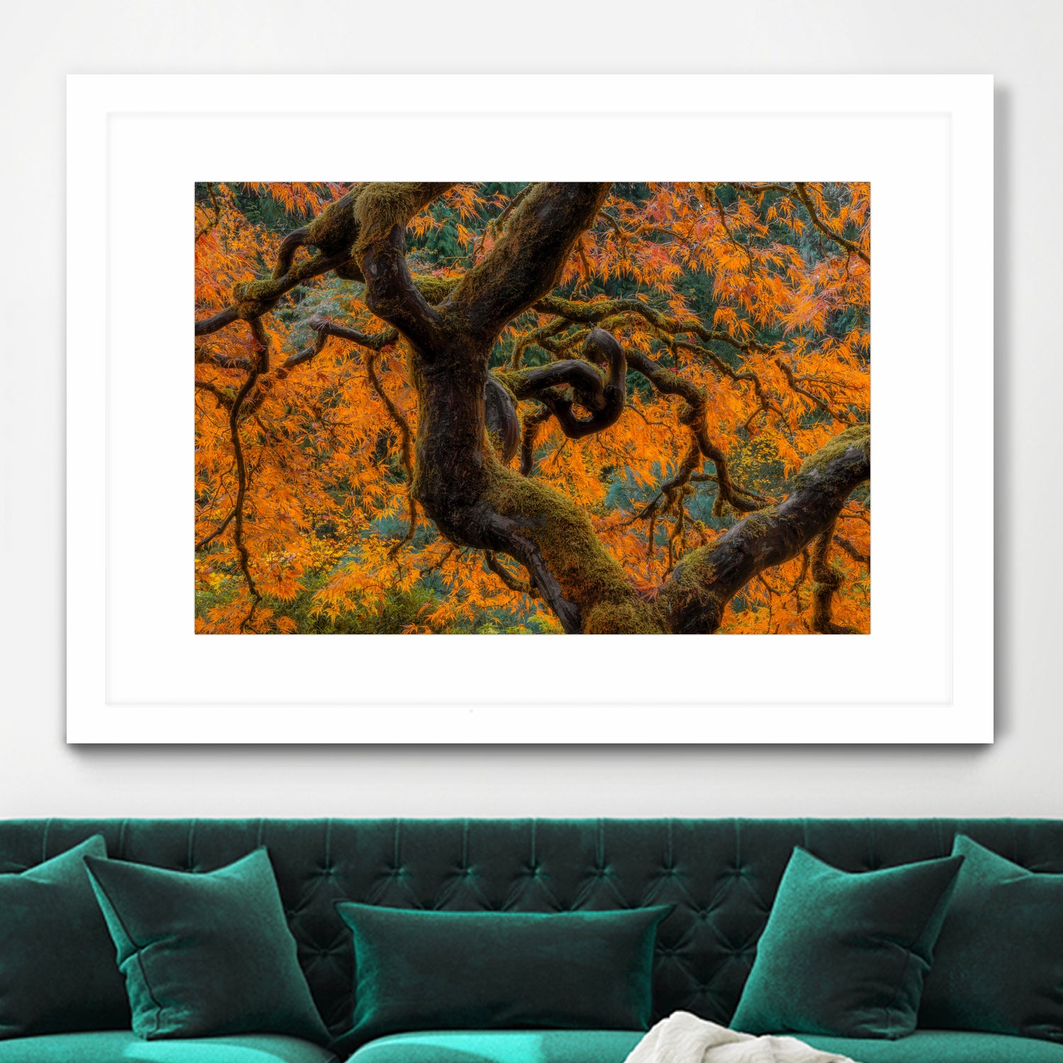 Golden Ratio by Junhao Wang on GIANT ART - orange botanical orange