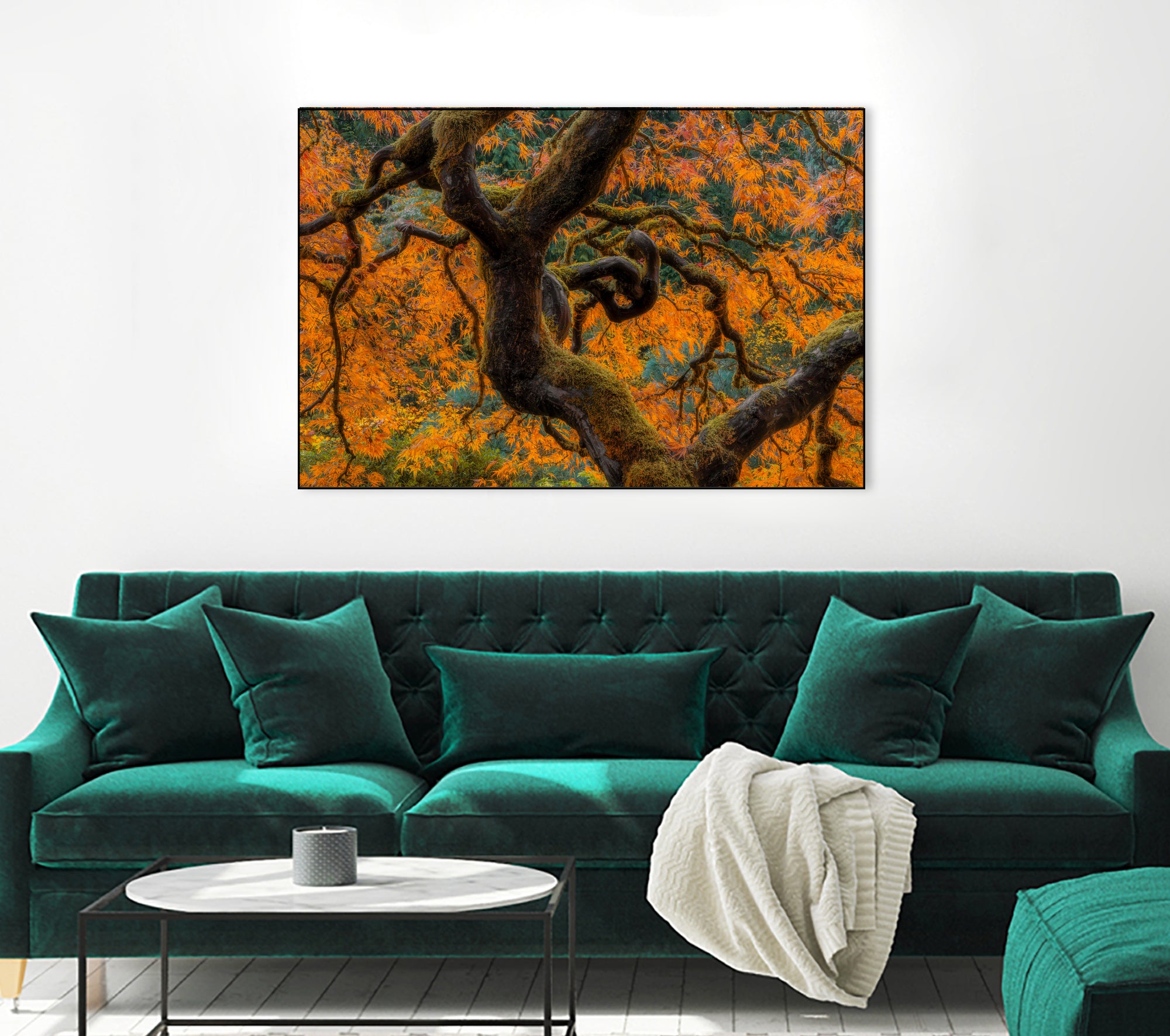 Golden Ratio by Junhao Wang on GIANT ART - orange botanical orange