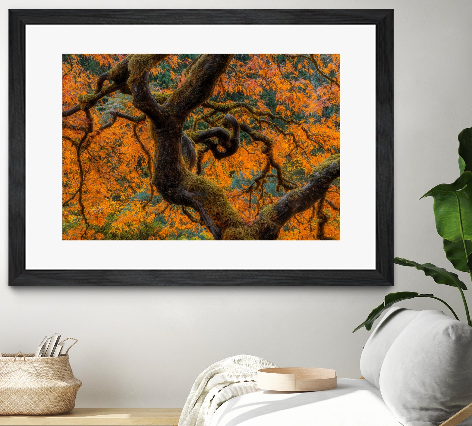 Golden Ratio by Junhao Wang on GIANT ART - orange botanical orange