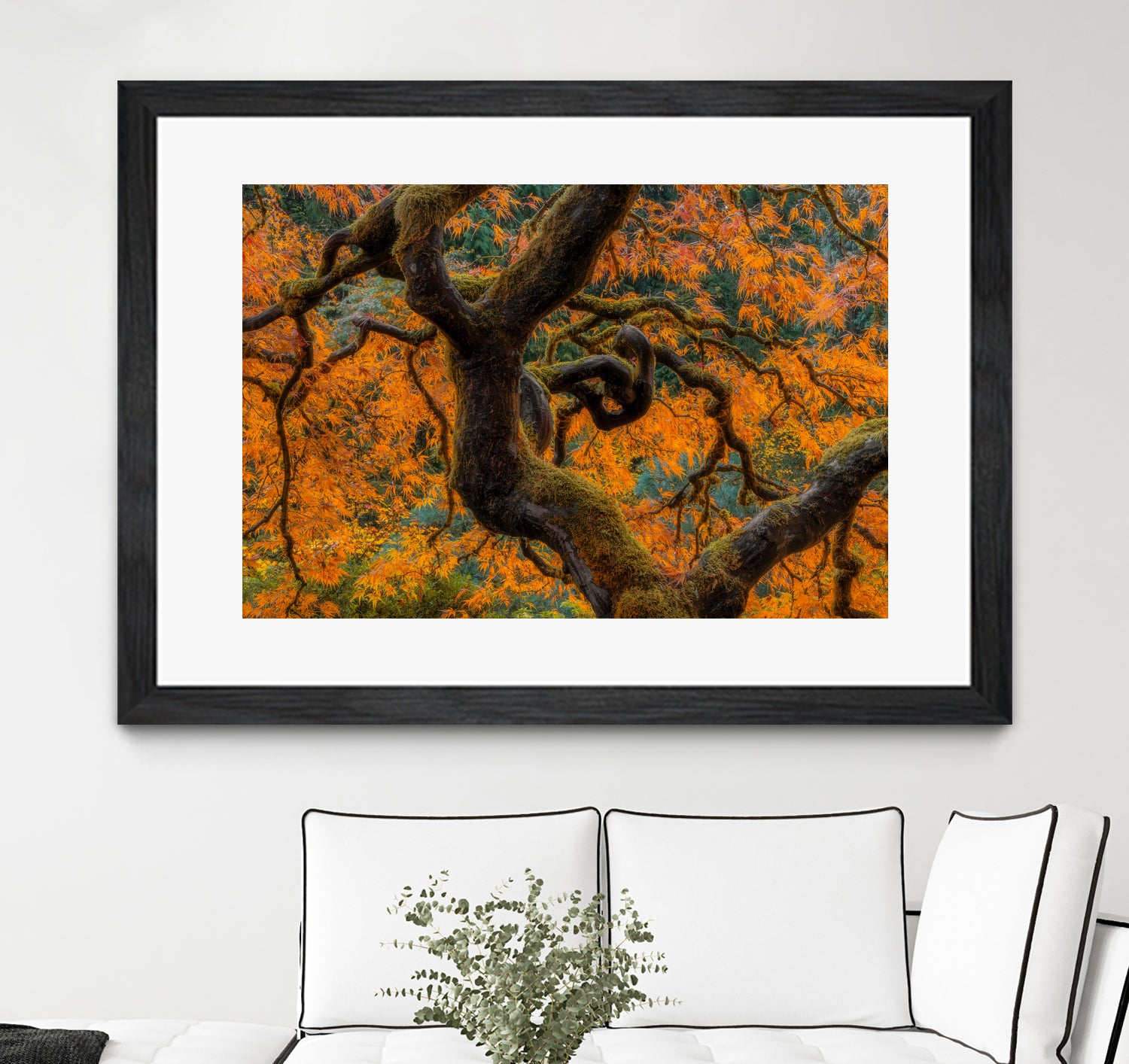 Golden Ratio by Junhao Wang on GIANT ART - orange botanical orange