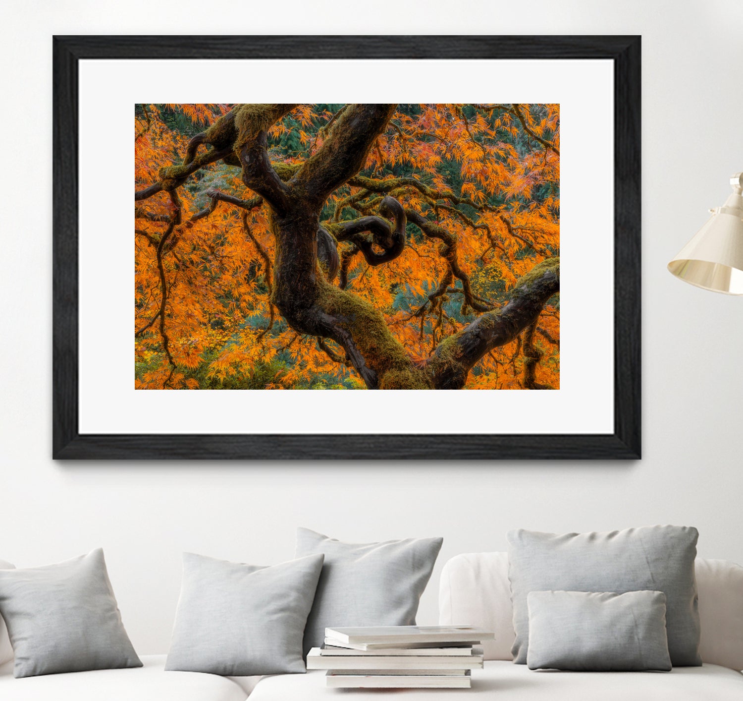 Golden Ratio by Junhao Wang on GIANT ART - orange botanical orange