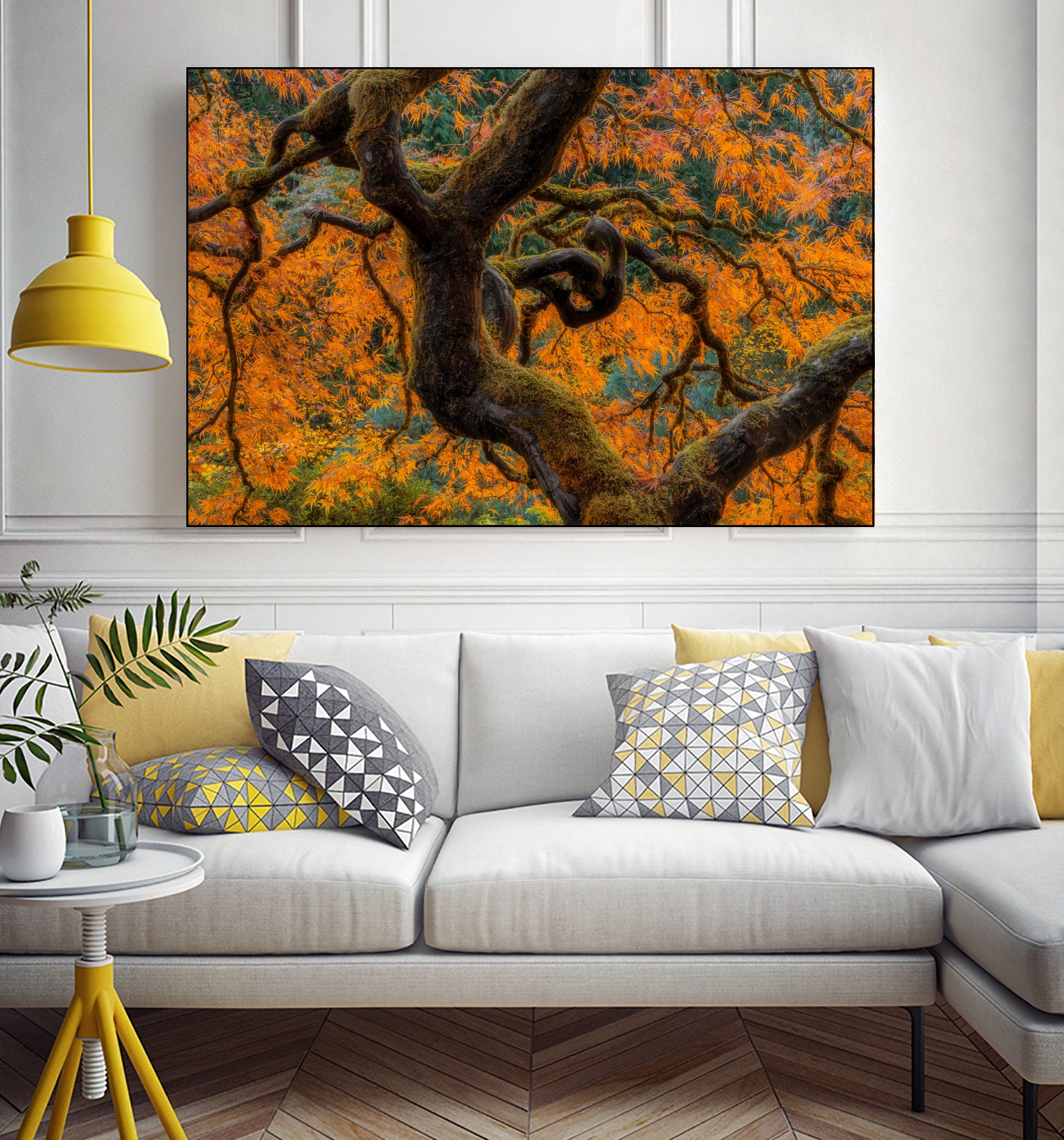 Golden Ratio by Junhao Wang on GIANT ART - orange botanical orange