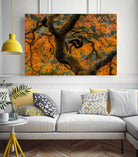 Golden Ratio by Junhao Wang on GIANT ART - orange botanical orange