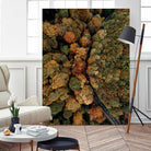 Autumn's Winding Path by Javier Pardina on GIANT ART - forest landscape  forest