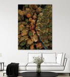 Autumn's Winding Path by Javier Pardina on GIANT ART - forest landscape  forest