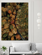 Autumn's Winding Path by Javier Pardina on GIANT ART - forest landscape  forest