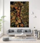 Autumn's Winding Path by Javier Pardina on GIANT ART - forest landscape  forest