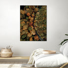 Autumn's Winding Path by Javier Pardina on GIANT ART - forest landscape  forest