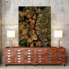 Autumn's Winding Path by Javier Pardina on GIANT ART - forest landscape  forest