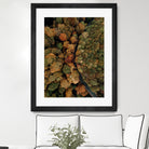 Autumn's Winding Path by Javier Pardina on GIANT ART - forest landscape  forest