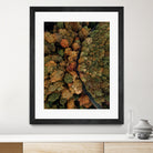 Autumn's Winding Path by Javier Pardina on GIANT ART - forest landscape  forest