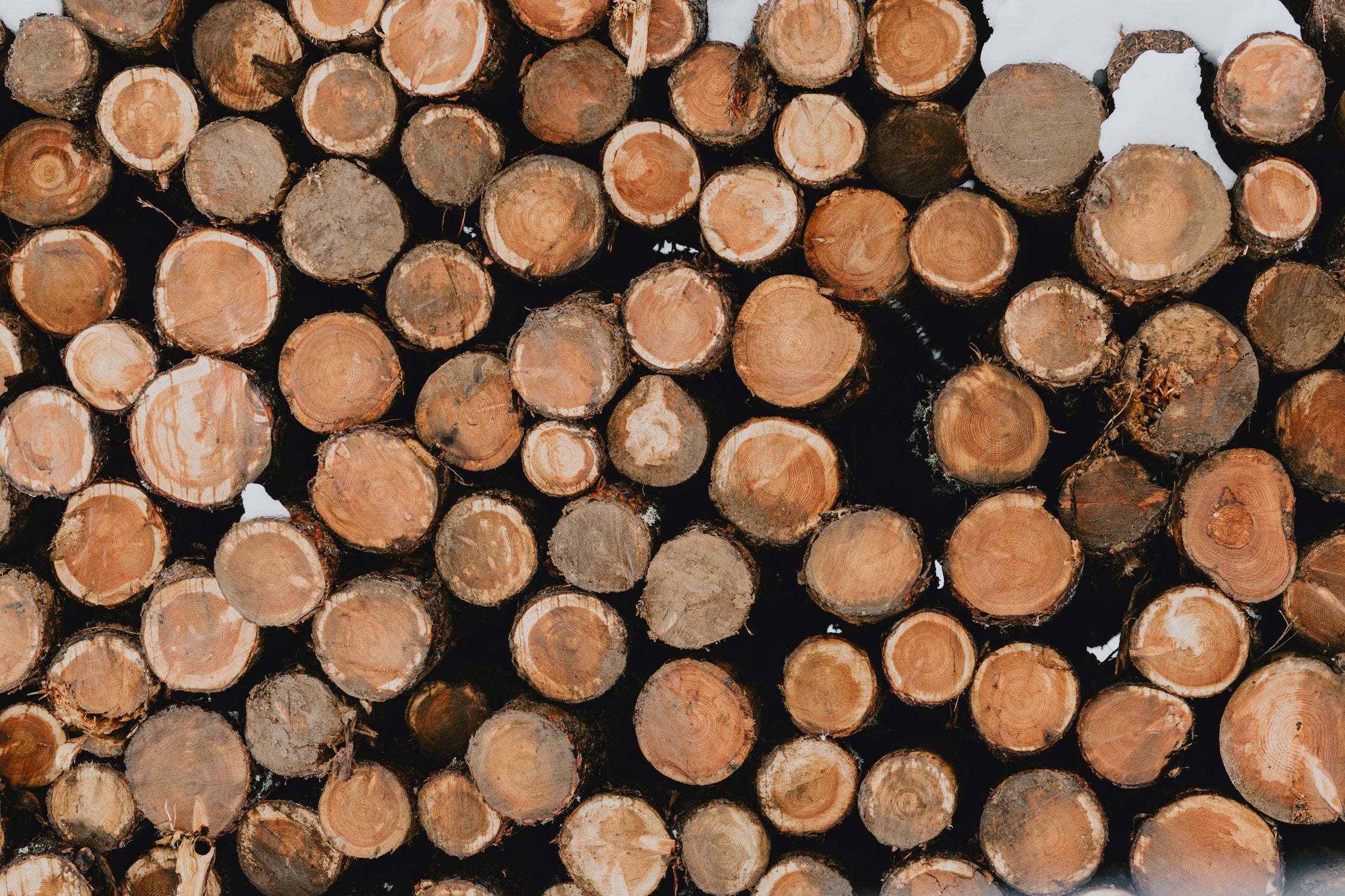 Stacked Timber Beauty by Javier Pardina on GIANT ART - 8192 photography