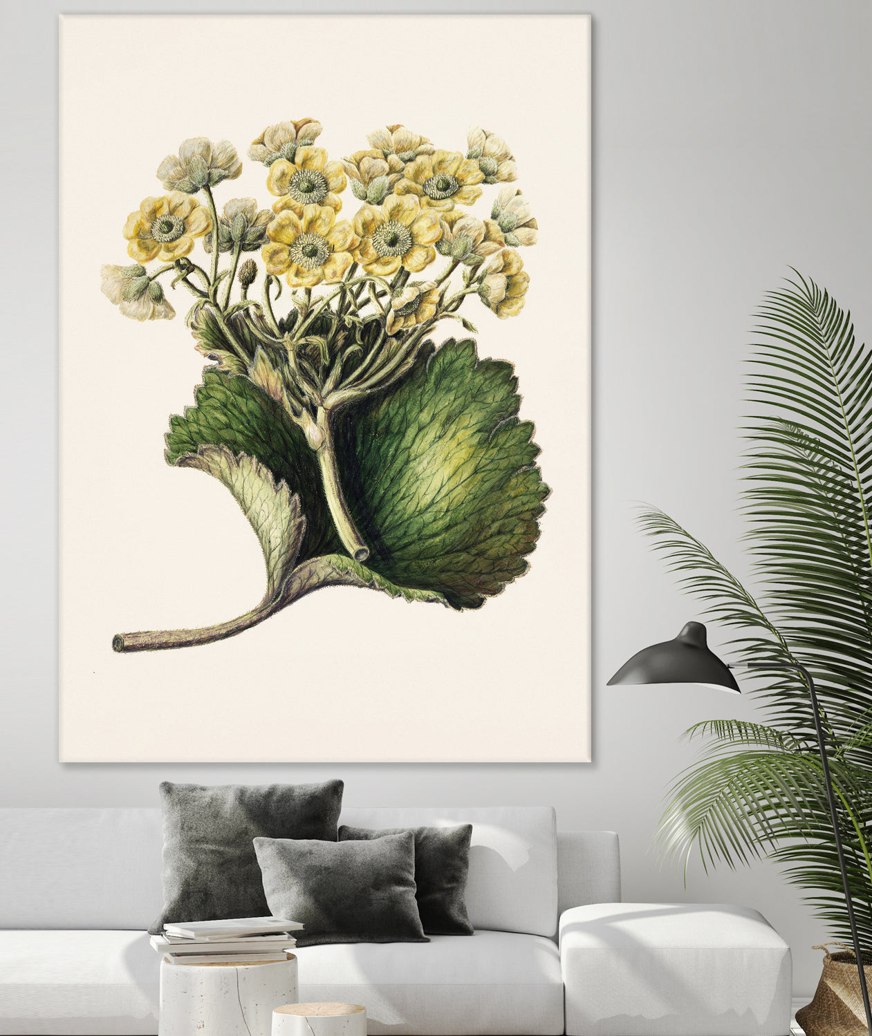 Korikor Drawn By Sarah Featon (1848a¬Ä¬ì1927 by Sarah Featon on GIANT ART - flowers and plants vintage botanical