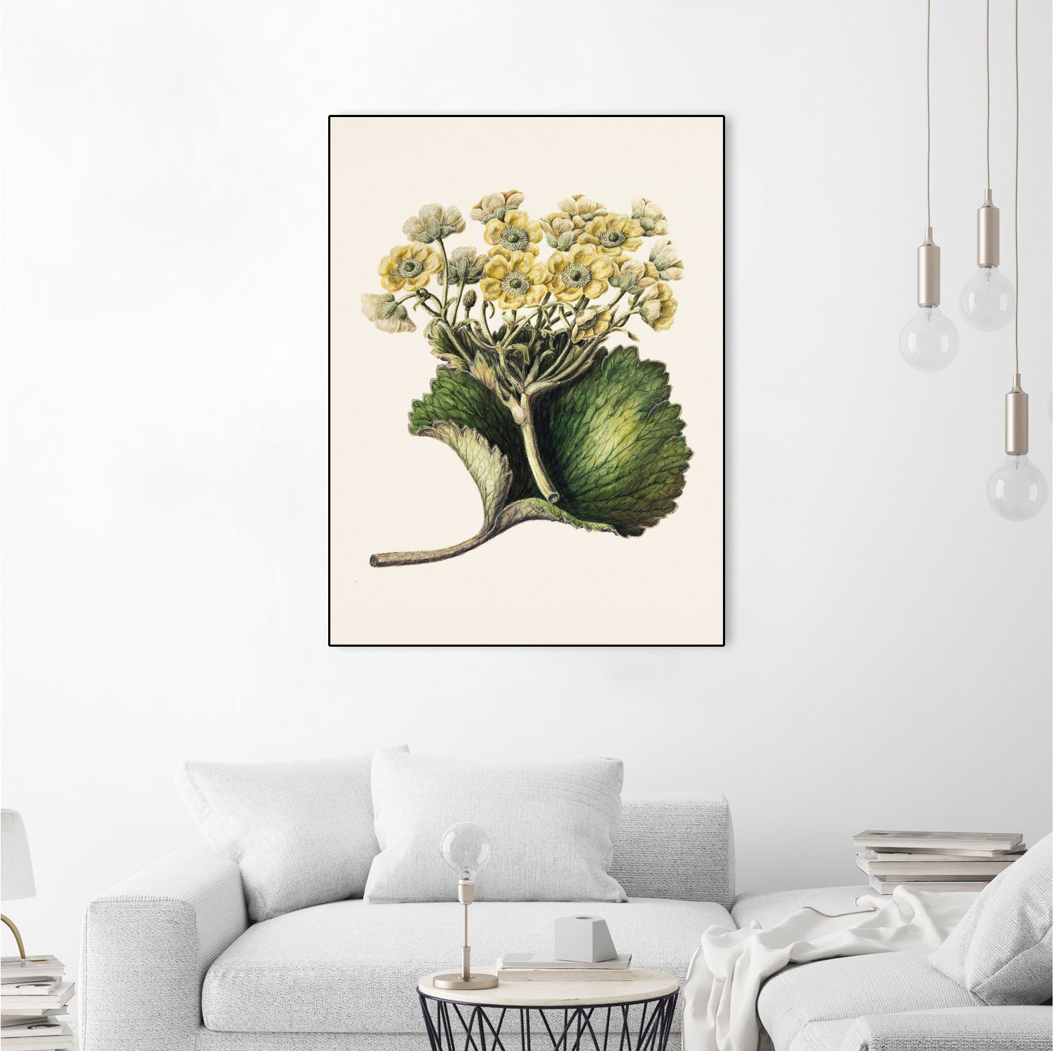 Korikor Drawn By Sarah Featon (1848a¬Ä¬ì1927 by Sarah Featon on GIANT ART - flowers and plants vintage botanical