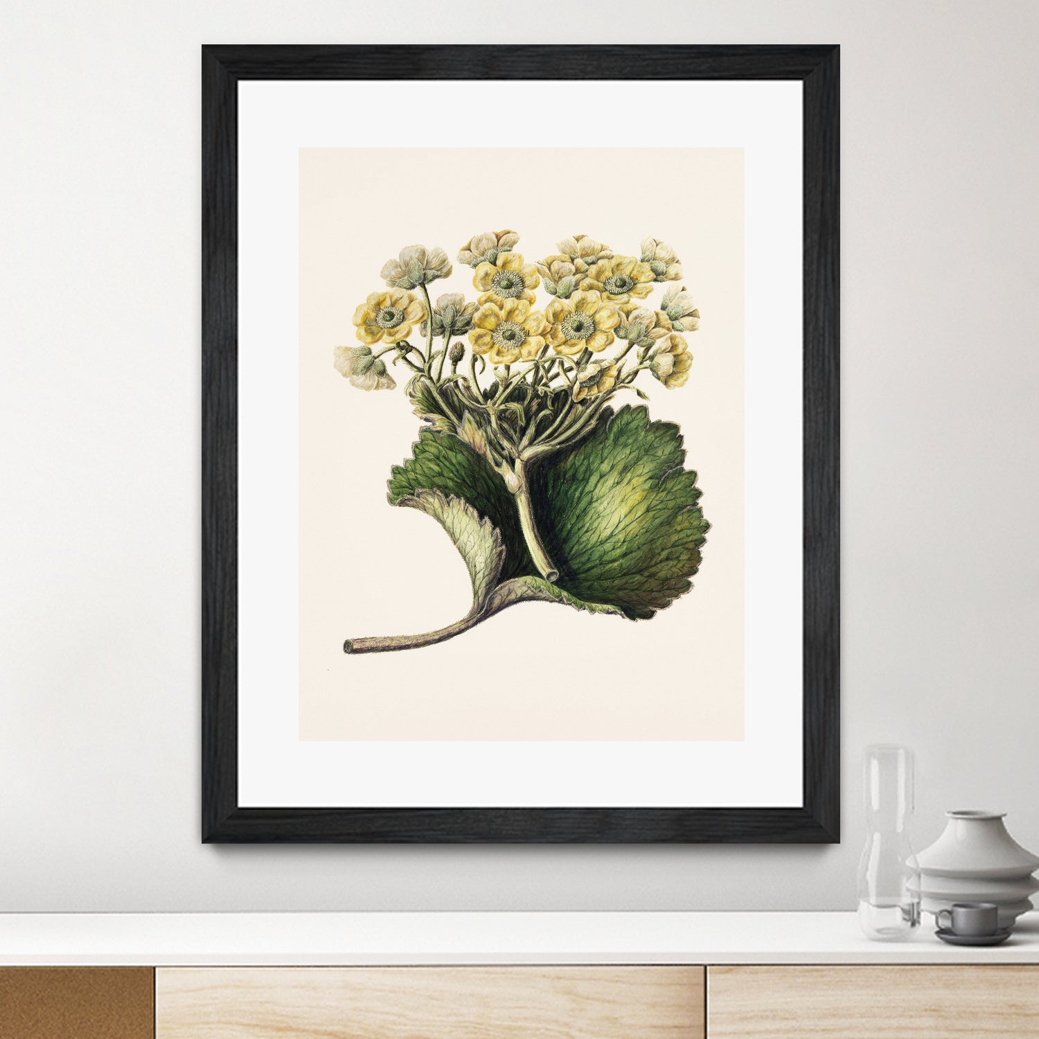 Korikor Drawn By Sarah Featon (1848a¬Ä¬ì1927 by Sarah Featon on GIANT ART - flowers and plants vintage botanical