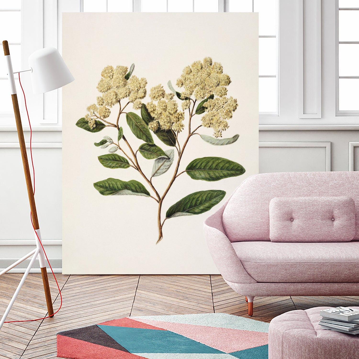 Kumarahou Drawn By Sarah Featon (1848a¬Ä¬ì1927 by Sarah Featon on GIANT ART - flowers and plants vintage botanical