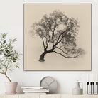 Wanaka Rain by Steven Fudge on GIANT ART - rain botanical rain