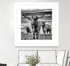 le trio by Stephane Pecqueux on GIANT ART - trois animal trois