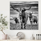 le trio by Stephane Pecqueux on GIANT ART - trois animal trois