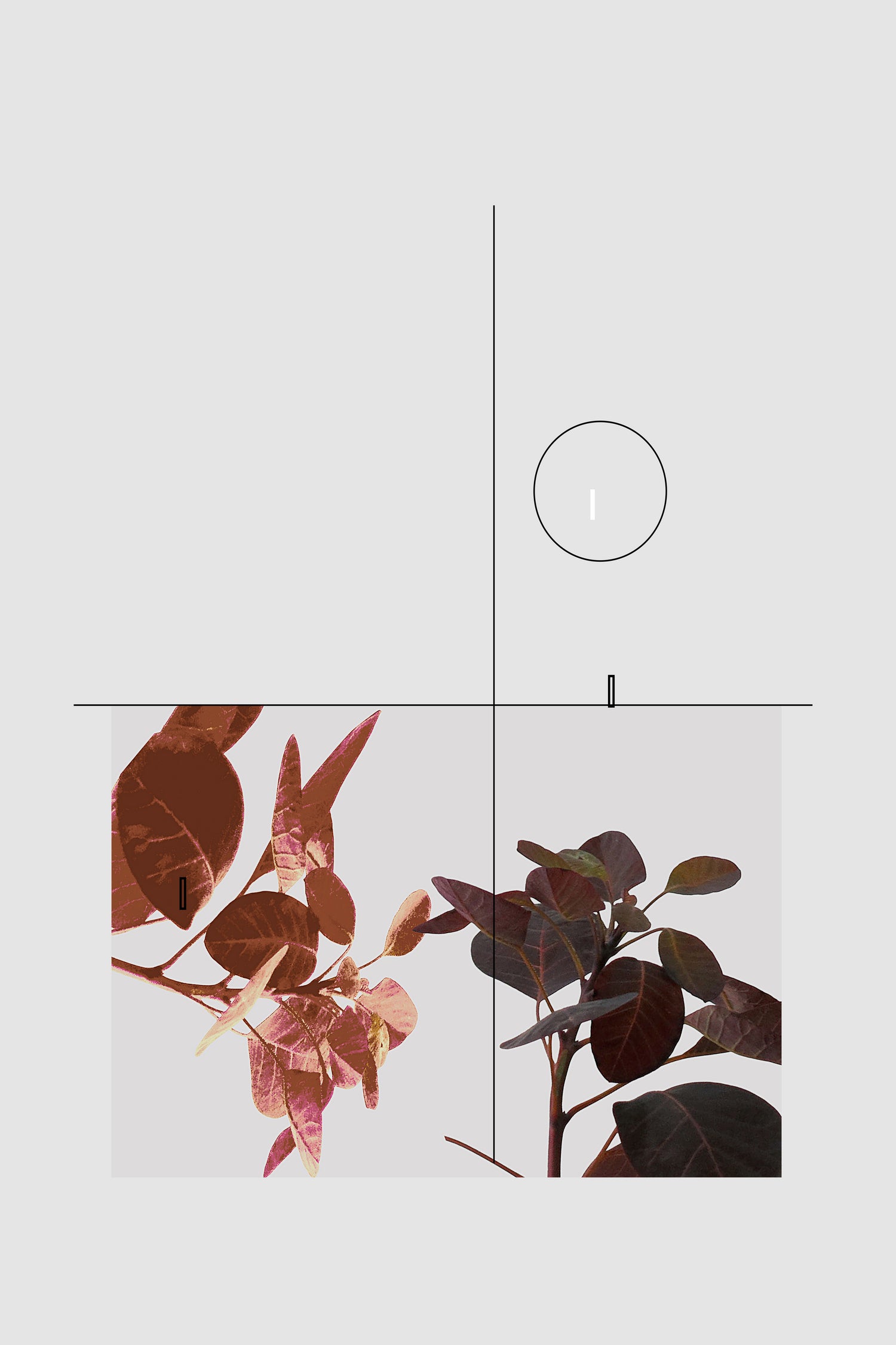 Tropical Modern by Nilesh Kulkarni on GIANT ART - illustration tropical