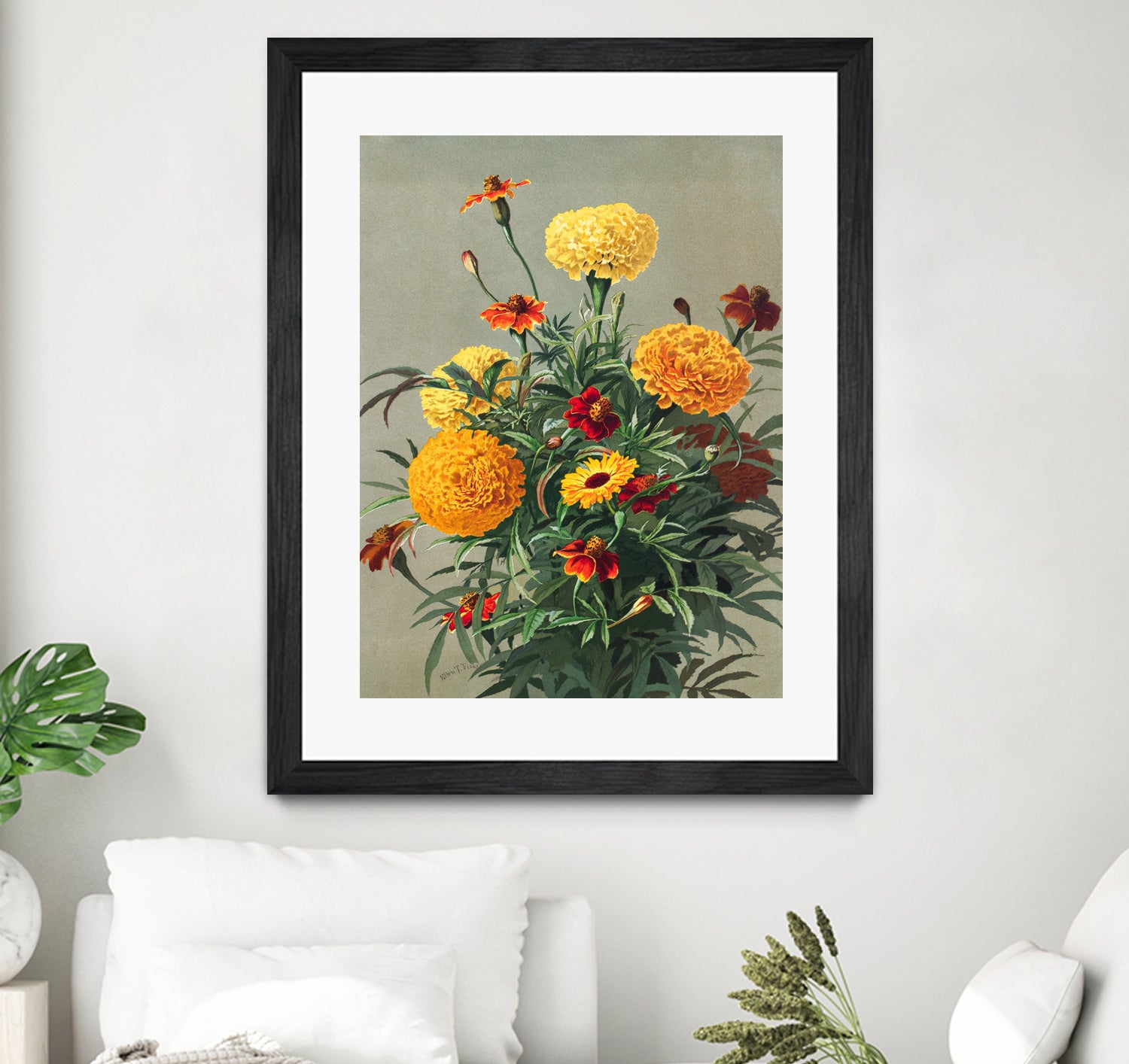 Marigolds by Ellen Thayer Fisher on GIANT ART - illustration ellen thayer fisher