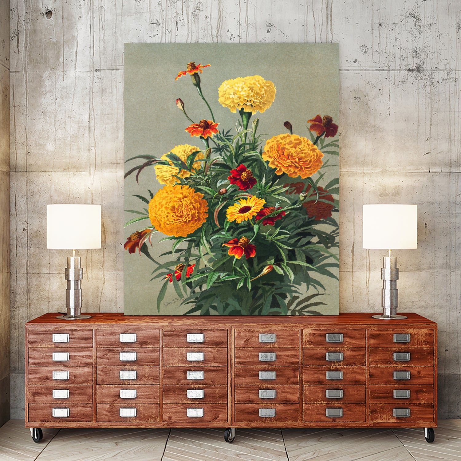 Marigolds by Ellen Thayer Fisher on GIANT ART - illustration ellen thayer fisher