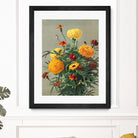 Marigolds by Ellen Thayer Fisher on GIANT ART - illustration ellen thayer fisher