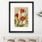 Tulips By Ellen Thayer Fisher by Pictufy on GIANT ART - illustration 