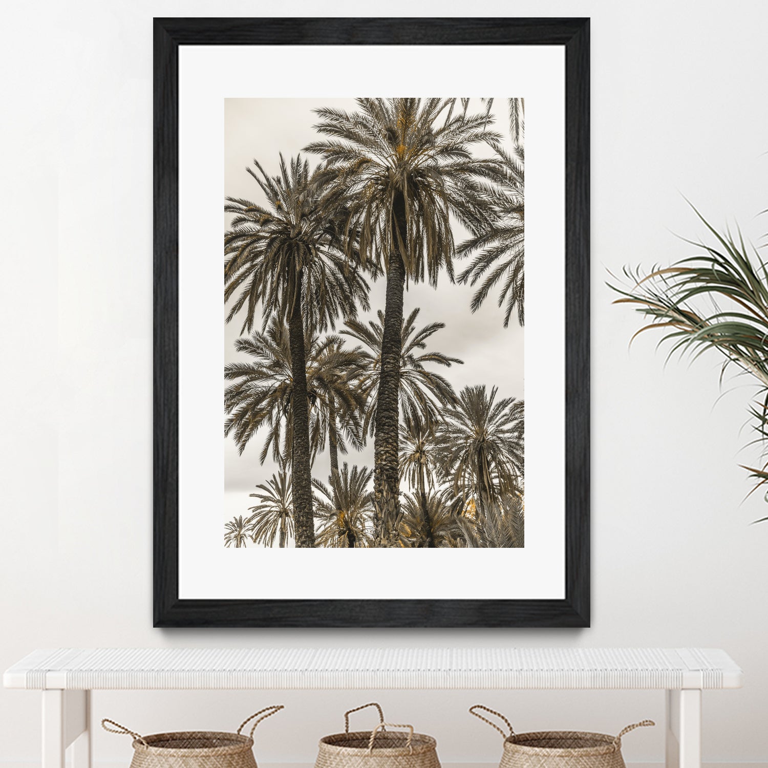 Sicilian Memories 17 by Mareike Bohmer on GIANT ART -  botany