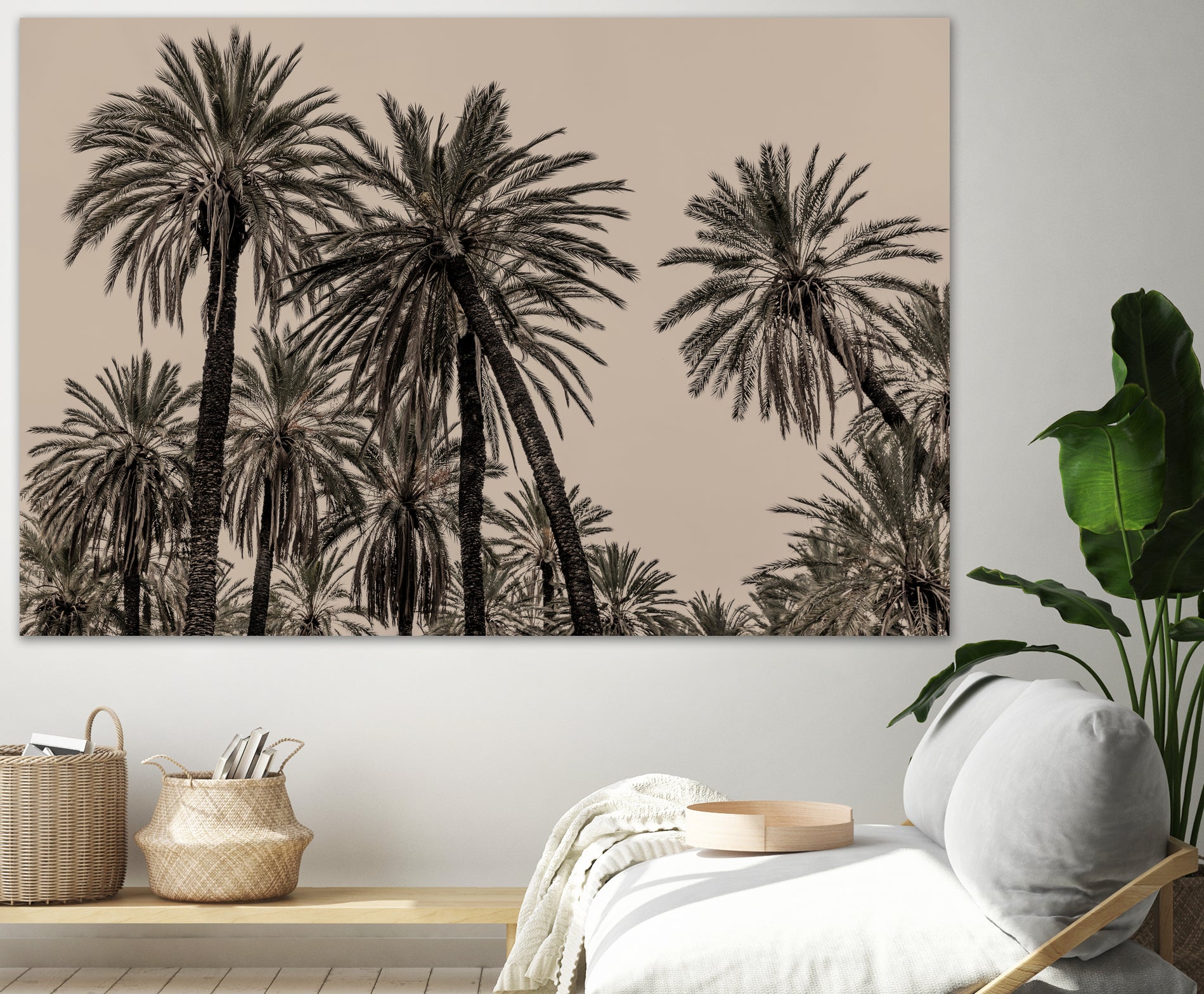 Sicilian Memories 15 by Mareike Bohmer on GIANT ART -  palm