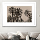 Sicilian Memories 15 by Mareike Bohmer on GIANT ART -  palm