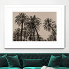 Sicilian Memories 15 by Mareike Bohmer on GIANT ART -  palm