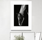 Quiet Strength by Frank Ma on GIANT ART - horse photography horse