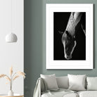Quiet Strength by Frank Ma on GIANT ART - horse photography horse